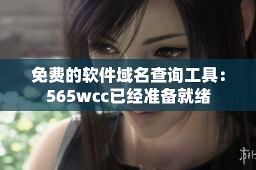免費(fèi)的軟件域名查詢工具：565wcc已經(jīng)準(zhǔn)備就緒