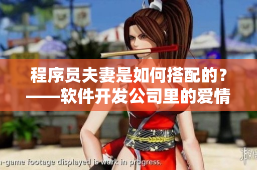 程序員夫妻是如何搭配的？——軟件開發(fā)公司里的愛情故事
