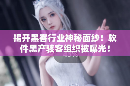 揭開黑客行業(yè)神秘面紗！軟件黑產(chǎn)駭客組織被曝光！