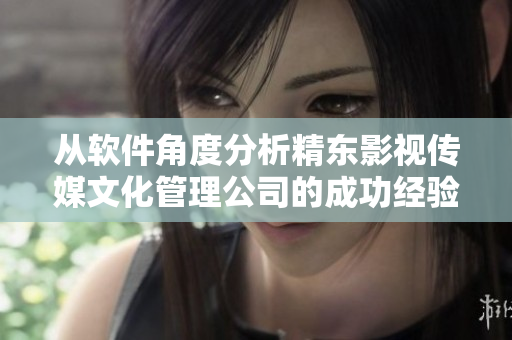 從軟件角度分析精東影視傳媒文化管理公司的成功經(jīng)驗