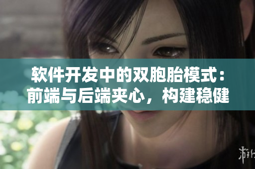 軟件開發(fā)中的雙胞胎模式：前端與后端夾心，構(gòu)建穩(wěn)健應(yīng)用