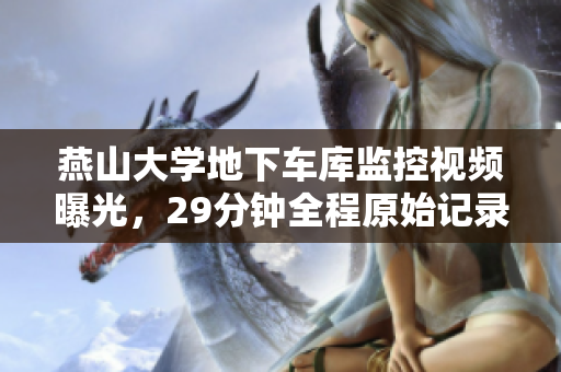 燕山大學(xué)地下車庫監(jiān)控視頻曝光，29分鐘全程原始記錄首次曝光