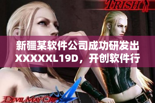 新疆某軟件公司成功研發(fā)出XXXXXL19D，開創(chuàng)軟件行業(yè)全新模式