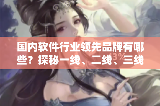 國內(nèi)軟件行業(yè)領(lǐng)先品牌有哪些？探秘一線、二線、三線軟件廠商！