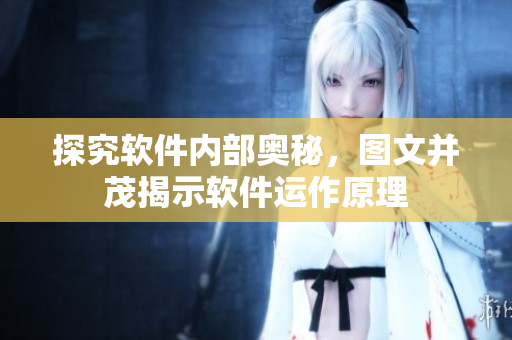 探究軟件內(nèi)部奧秘，圖文并茂揭示軟件運作原理