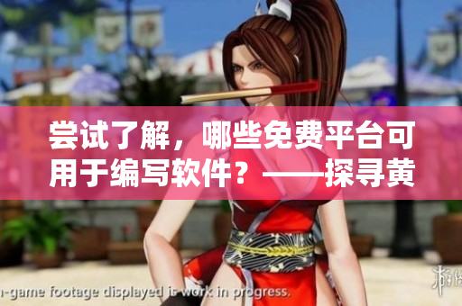 嘗試了解，哪些免費(fèi)平臺可用于編寫軟件？——探尋黃岡市提供的資源！