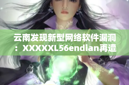 云南發(fā)現(xiàn)新型網(wǎng)絡(luò)軟件漏洞：XXXXXL56endian再遭攻擊