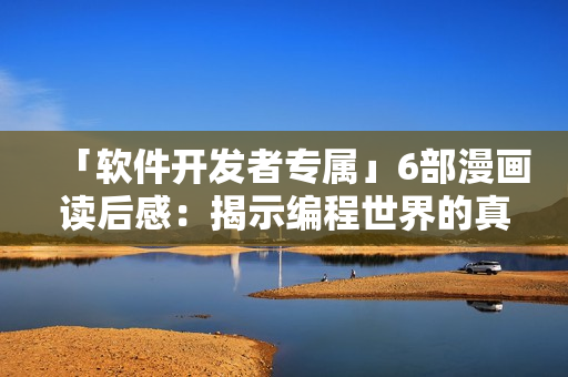 「軟件開(kāi)發(fā)者專(zhuān)屬」6部漫畫(huà)讀后感：揭示編程世界的真實(shí)面貌