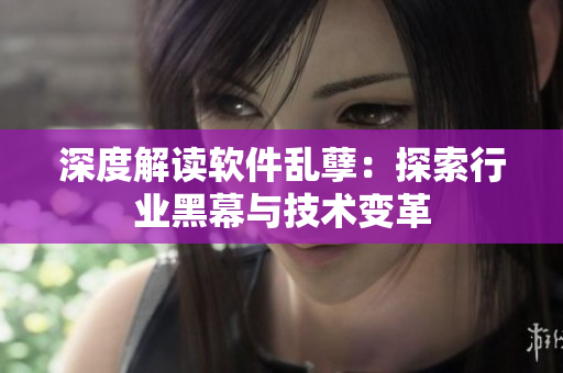 深度解讀軟件亂孽：探索行業(yè)黑幕與技術變革
