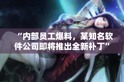 “內(nèi)部員工爆料，某知名軟件公司即將推出全新補丁”