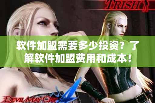 軟件加盟需要多少投資？了解軟件加盟費用和成本！