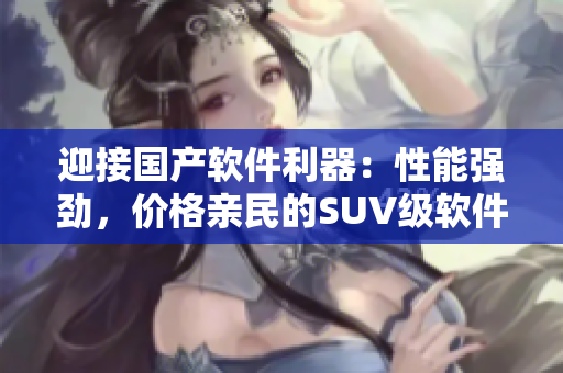迎接國(guó)產(chǎn)軟件利器：性能強(qiáng)勁，價(jià)格親民的SUV級(jí)軟件