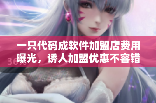 一只代碼成軟件加盟店費用曝光，誘人加盟優(yōu)惠不容錯過！