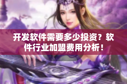 開發(fā)軟件需要多少投資？軟件行業(yè)加盟費(fèi)用分析！