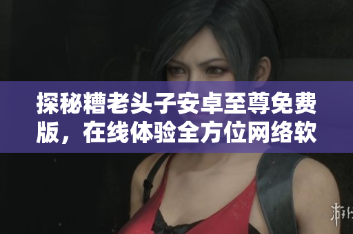 探秘糟老頭子安卓至尊免費(fèi)版，在線(xiàn)體驗(yàn)全方位網(wǎng)絡(luò)軟件功能