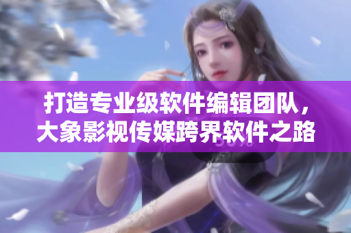 打造專業(yè)級軟件編輯團(tuán)隊(duì)，大象影視傳媒跨界軟件之路