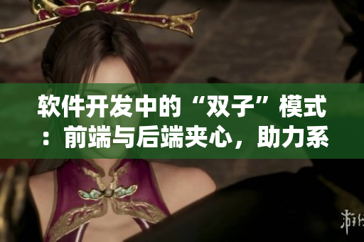 軟件開發(fā)中的“雙子”模式：前端與后端夾心，助力系統(tǒng)構(gòu)建