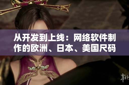 從開發(fā)到上線：網(wǎng)絡(luò)軟件制作的歐洲、日本、美國尺碼專線