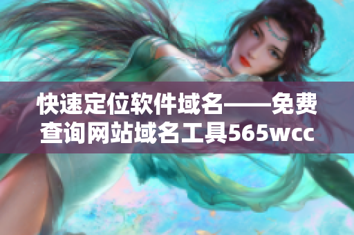 快速定位軟件域名——免費查詢網(wǎng)站域名工具565wcc