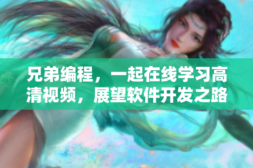 兄弟編程，一起在線學(xué)習(xí)高清視頻，展望軟件開發(fā)之路