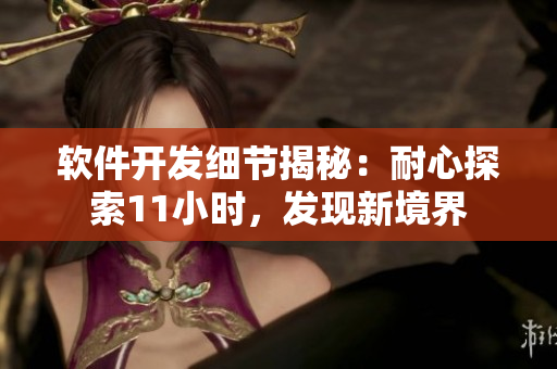 軟件開發(fā)細(xì)節(jié)揭秘：耐心探索11小時，發(fā)現(xiàn)新境界
