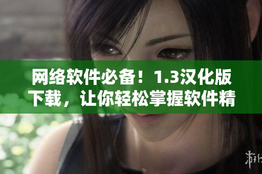 網(wǎng)絡(luò)軟件必備！1.3漢化版下載，讓你輕松掌握軟件精髓！