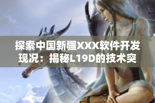 探索中國新疆XXX軟件開發(fā)現(xiàn)況：揭秘L19D的技術(shù)突破與應(yīng)用前景
