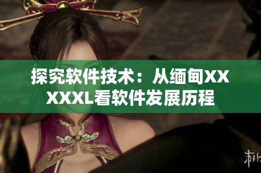 探究軟件技術：從緬甸XXXXXL看軟件發(fā)展歷程