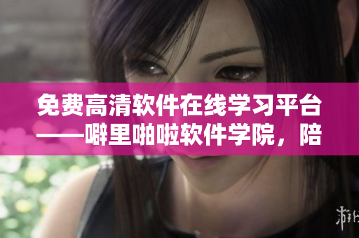 免費(fèi)高清軟件在線學(xué)習(xí)平臺——噼里啪啦軟件學(xué)院，陪你找到碼路的方向