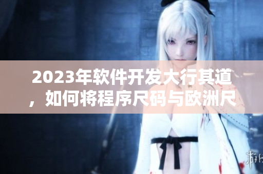 2023年軟件開發(fā)大行其道，如何將程序尺碼與歐洲尺碼表進行對比？