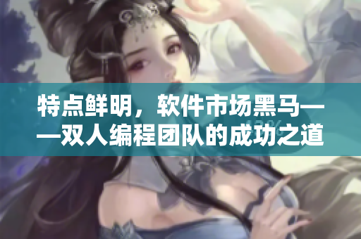 特點鮮明，軟件市場黑馬——雙人編程團隊的成功之道