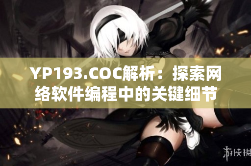 YP193.COC解析：探索網(wǎng)絡(luò)軟件編程中的關(guān)鍵細節(jié)