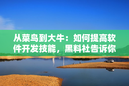 從菜鳥到大牛：如何提高軟件開發(fā)技能，黑料社告訴你！