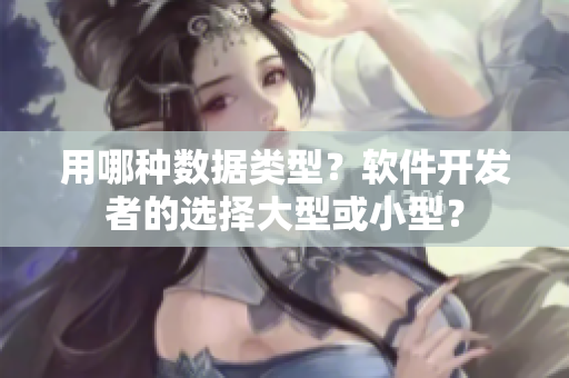 用哪種數據類型？軟件開發(fā)者的選擇大型或小型？
