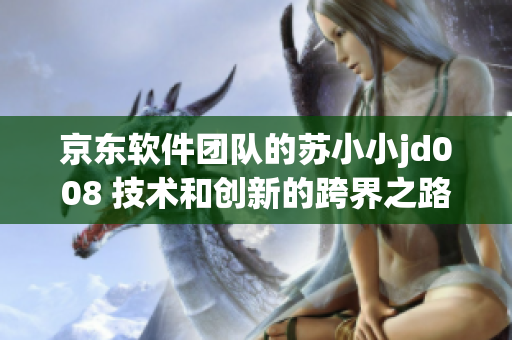 京東軟件團(tuán)隊(duì)的蘇小小jd008 技術(shù)和創(chuàng)新的跨界之路