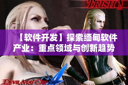 【軟件開發(fā)】探索緬甸軟件產(chǎn)業(yè)：重點領(lǐng)域與創(chuàng)新趨勢