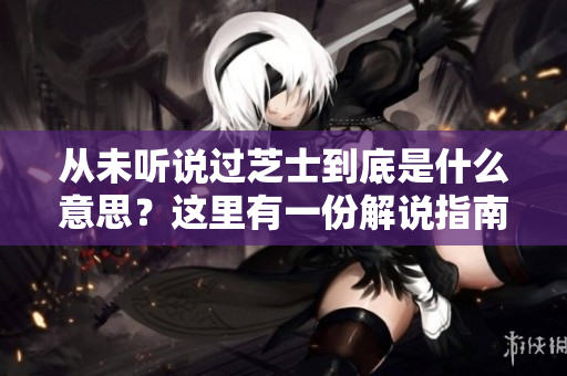 從未聽說過芝士到底是什么意思？這里有一份解說指南。