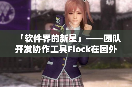「軟件界的新星」——團(tuán)隊(duì)開(kāi)發(fā)協(xié)作工具Flock在國(guó)外展露鋒芒