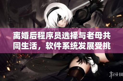 離婚后程序員選擇與老母共同生活，軟件系統(tǒng)發(fā)展受挑戰(zhàn)