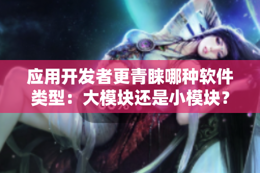 應(yīng)用開(kāi)發(fā)者更青睞哪種軟件類型：大模塊還是小模塊？