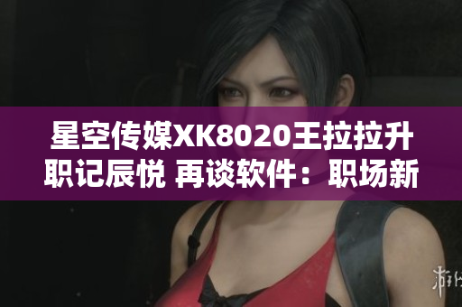 星空傳媒XK8020王拉拉升職記辰悅 再談軟件：職場新風(fēng)貌