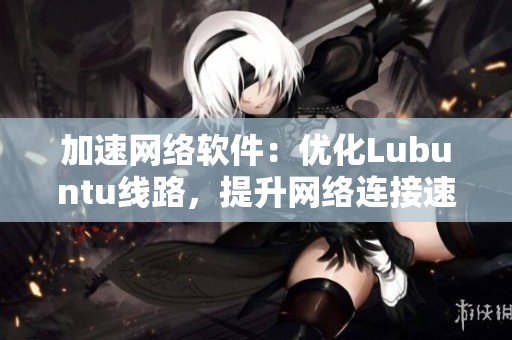 加速網(wǎng)絡(luò)軟件：優(yōu)化Lubuntu線路，提升網(wǎng)絡(luò)連接速度