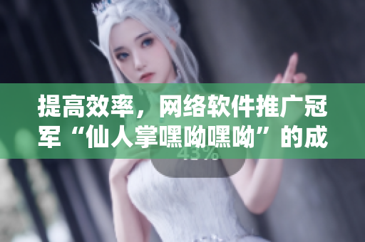 提高效率，網(wǎng)絡(luò)軟件推廣冠軍“仙人掌嘿呦嘿呦”的成功秘訣