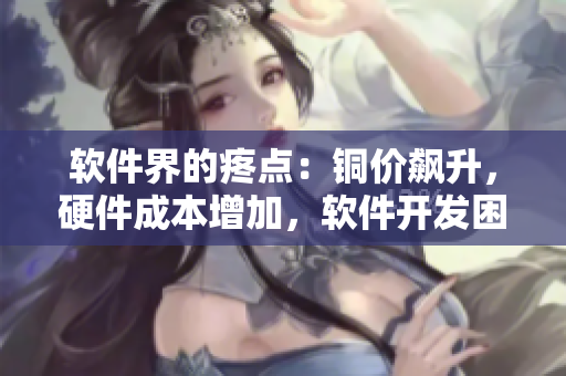 軟件界的疼點(diǎn)：銅價飆升，硬件成本增加，軟件開發(fā)困境