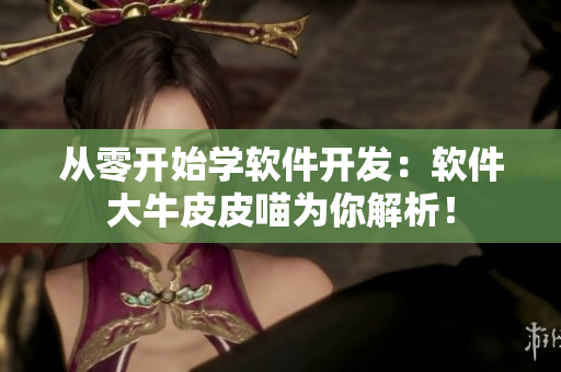 從零開始學(xué)軟件開發(fā)：軟件大牛皮皮喵為你解析！