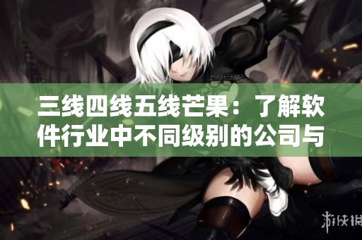 三線四線五線芒果：了解軟件行業(yè)中不同級別的公司與項目。