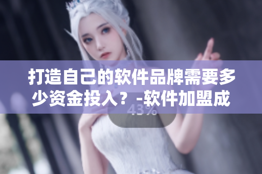 打造自己的軟件品牌需要多少資金投入？-軟件加盟成本分析