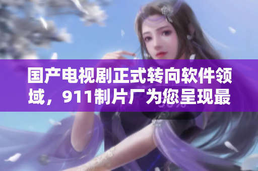 國產(chǎn)電視劇正式轉向軟件領域，911制片廠為您呈現(xiàn)最新力作！