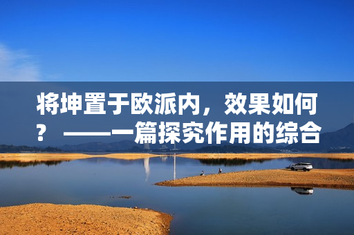 將坤置于歐派內(nèi)，效果如何？ ——一篇探究作用的綜合分析