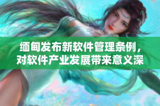 緬甸發(fā)布新軟件管理條例，對軟件產(chǎn)業(yè)發(fā)展帶來意義深遠的影響